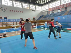 勇敢者的運(yùn)動(dòng) 四川省第十三屆運(yùn)動(dòng)會(huì)拳擊比賽在昭化熱血開(kāi)賽
