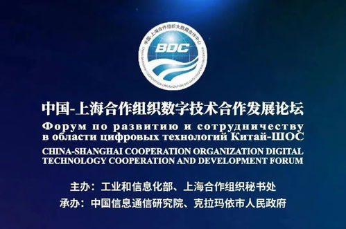 數(shù)字賦能龜茲文化 上合框架下的文化傳承與產業(yè)融合新路徑