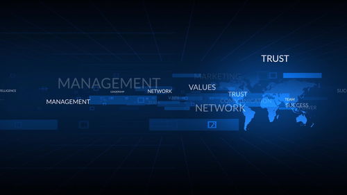 不符合重點軟件企業標準，網絡技術服務企業稅收優惠力度下降的挑戰與應對